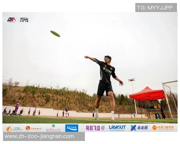 重庆飞盘队的阵地战揭秘：深度解析飞盘运动的战术与团队协作