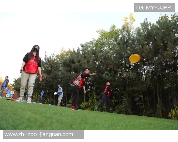 飞盘追梦：南京飞盘队的拼搏与成长之路纪实