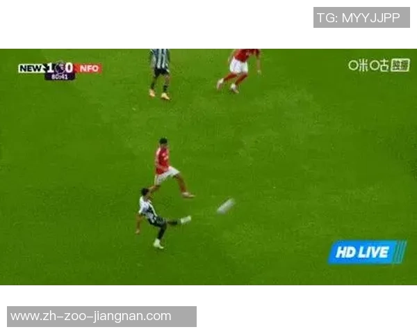 足球降落下载助你轻松掌握比赛动态与精彩瞬间的最佳应用推荐